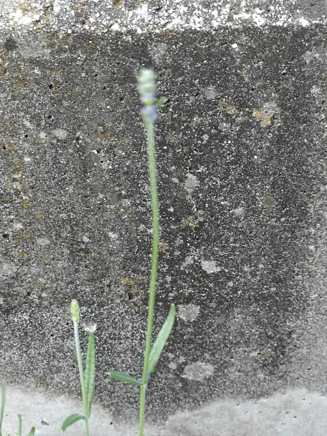 2025-06-12